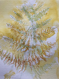 Debbie. Autumn medley 2, watercolour. 10.20.jpg